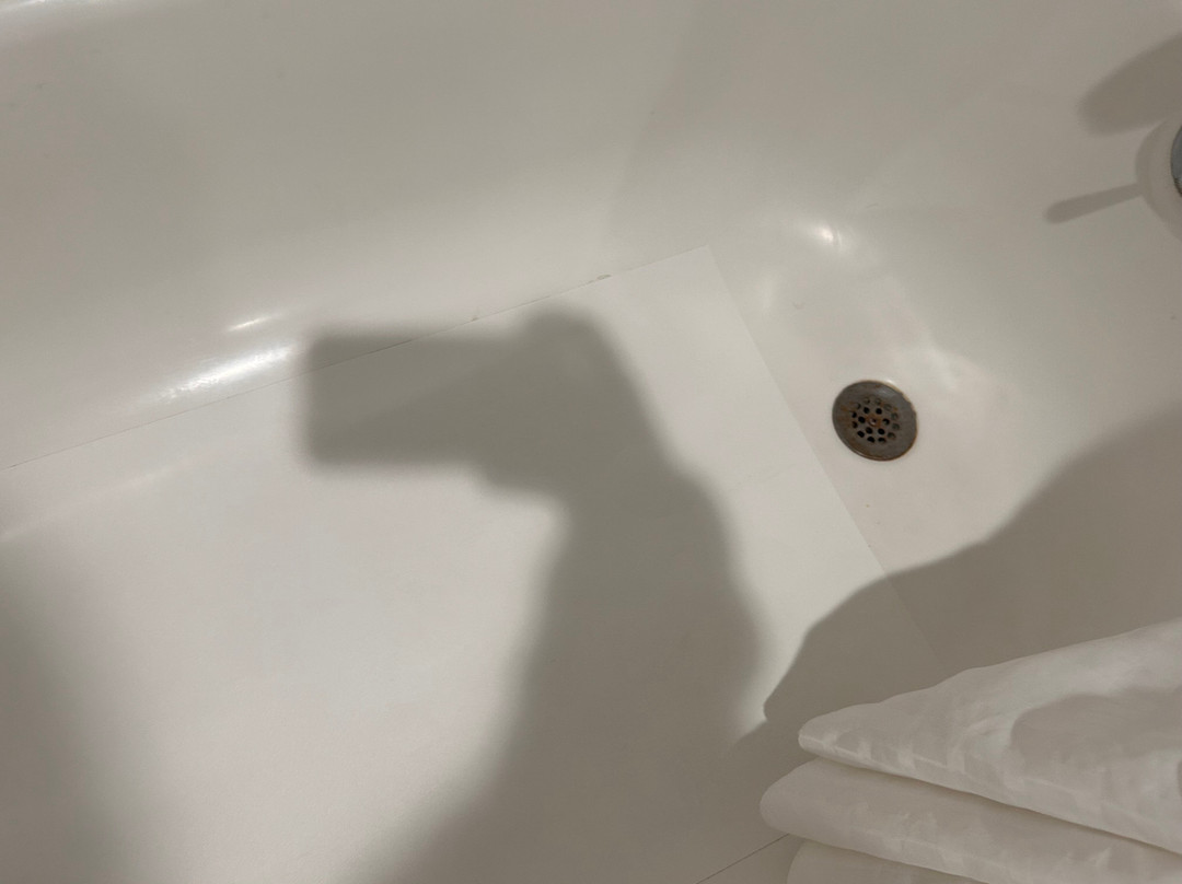 La Quinta Inn & Suites by Wyndham Dothan主图