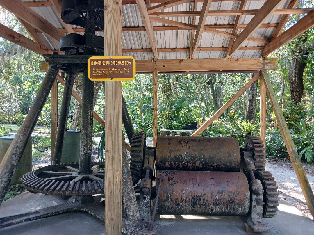 Dunlawton Sugar Mill Gardens-珀特奥兰治必去景点