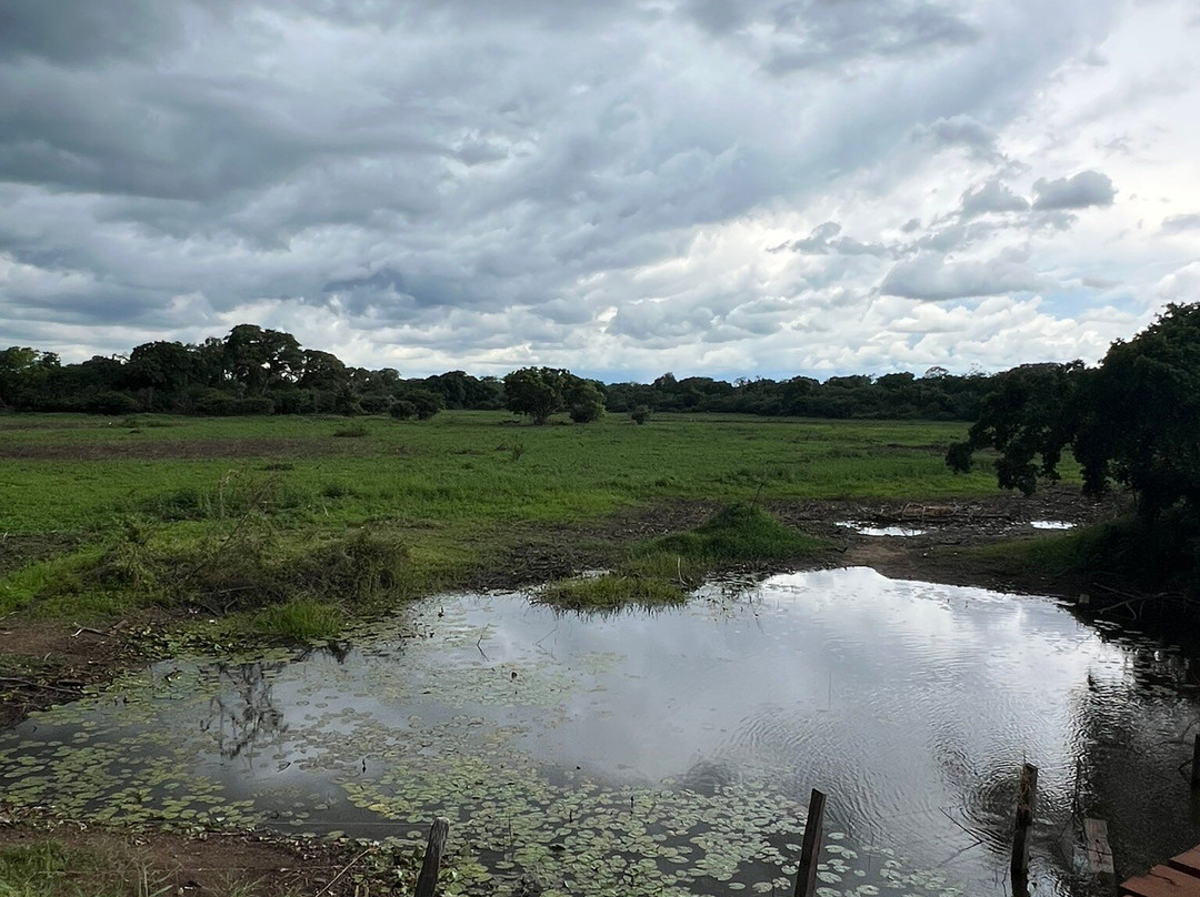 Estrada Parque do Pantanal-科龙巴必去景点