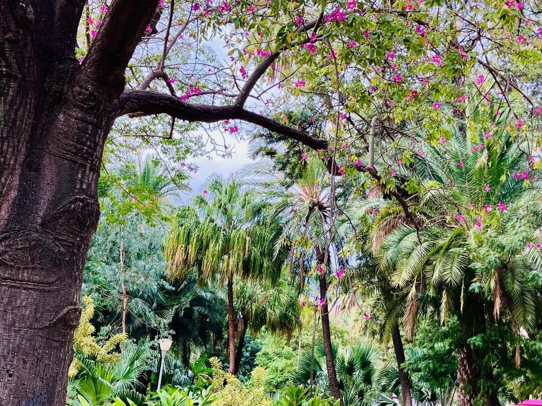Parque de Malaga-马拉加必去景点