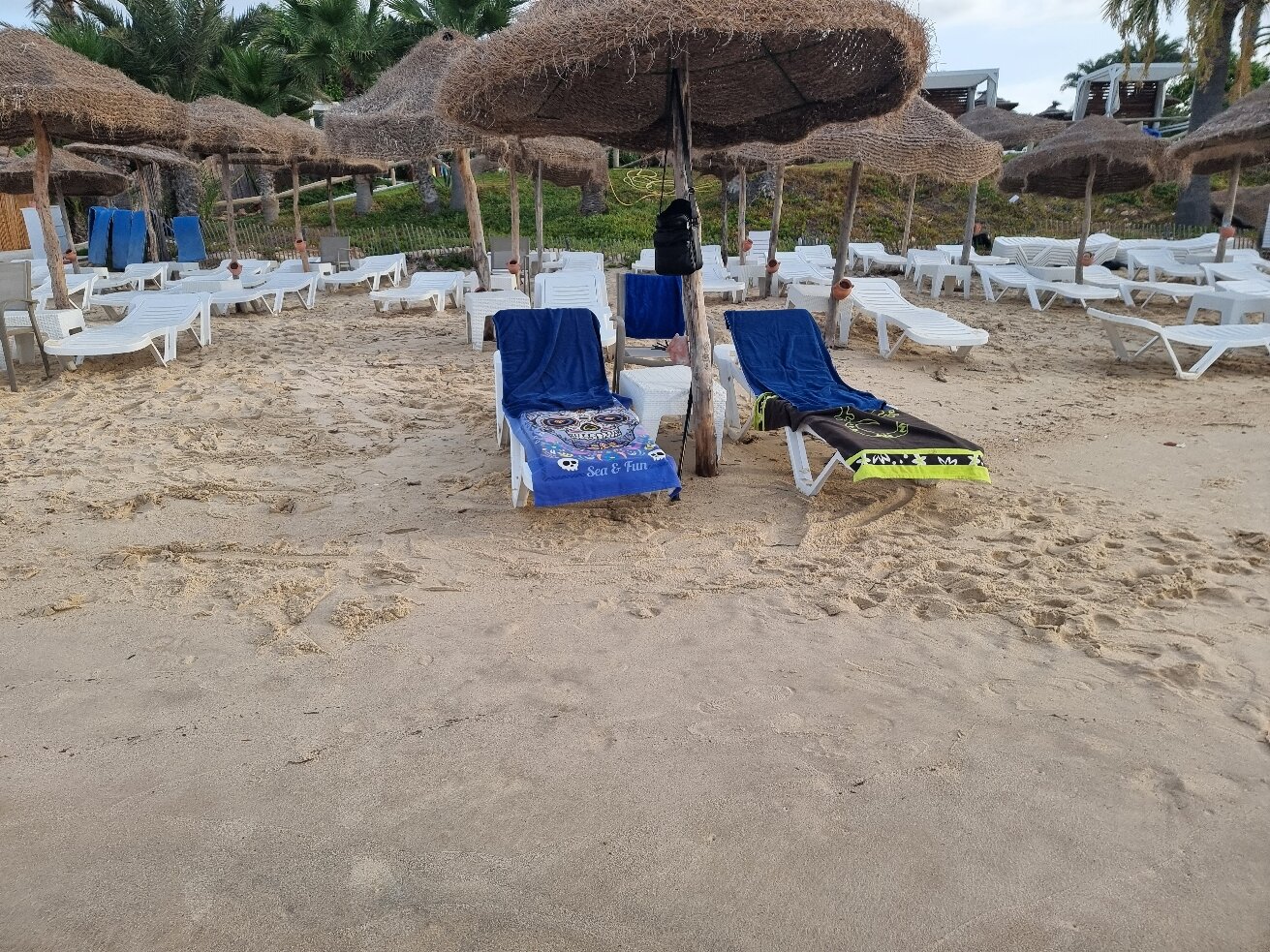 TUI BLUE Palm Beach Hammamet-官方