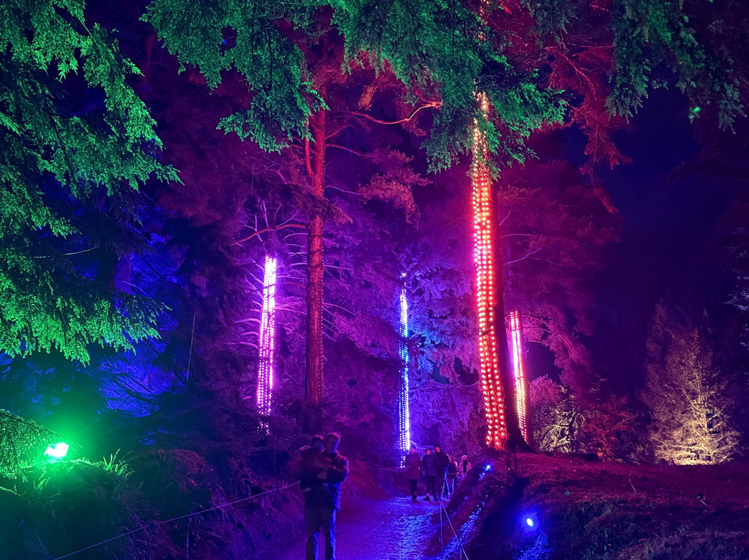 Bedgebury National Pinetum And Forest-Goudhurst必去景点