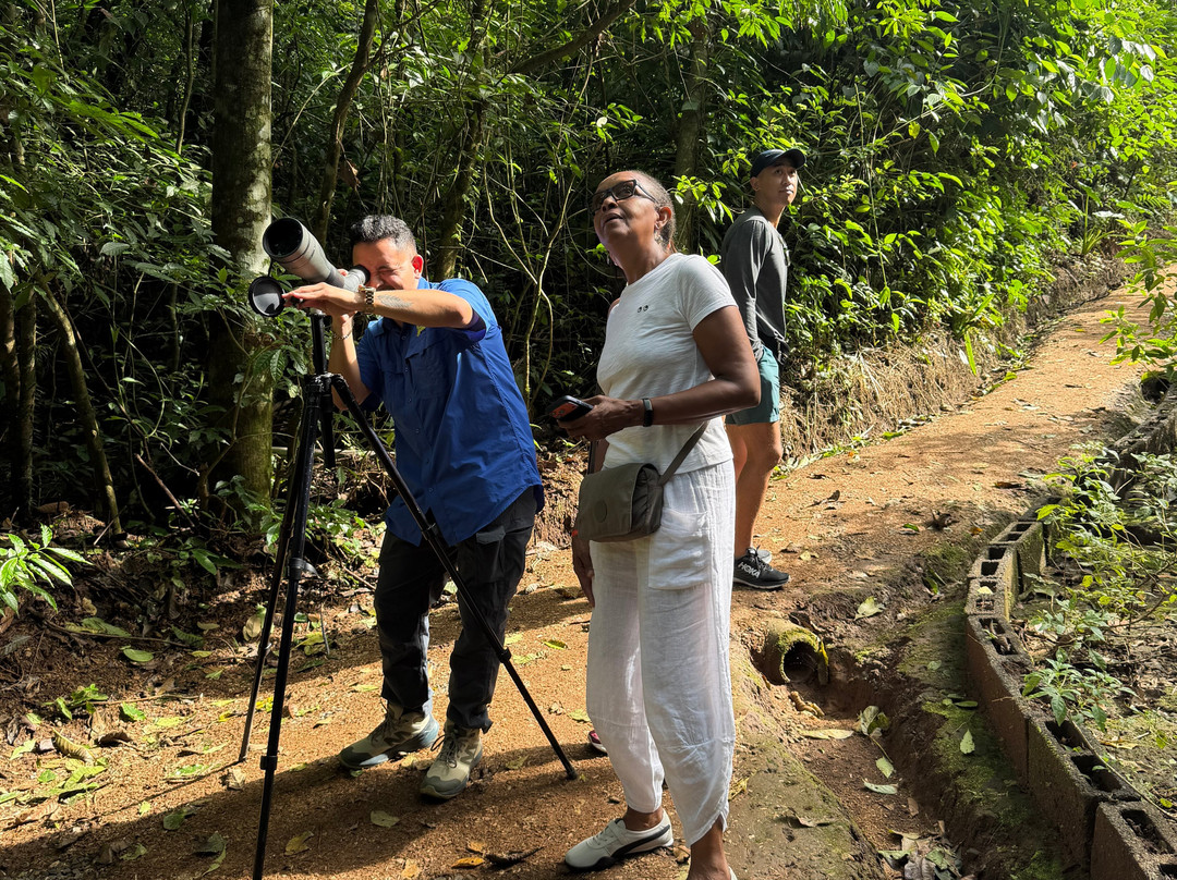 NexusTours-圣何塞必去景点