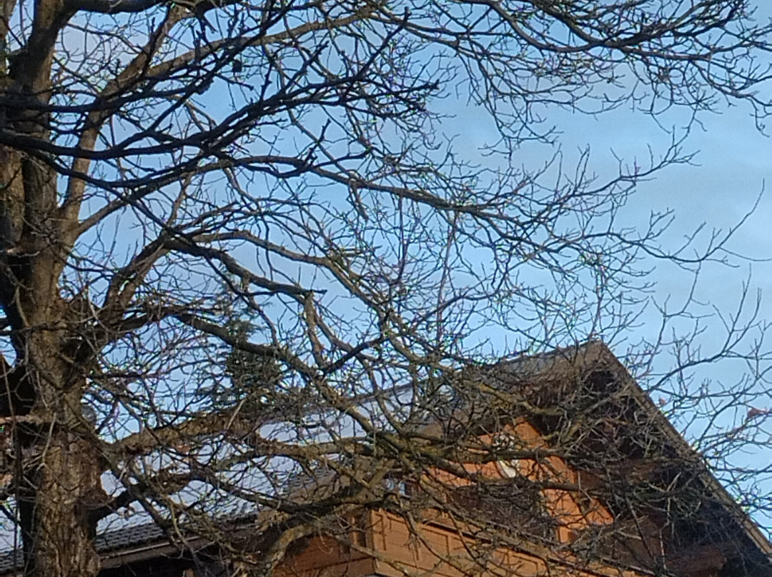 Biogasthaus Restaurant Plonerhof主图