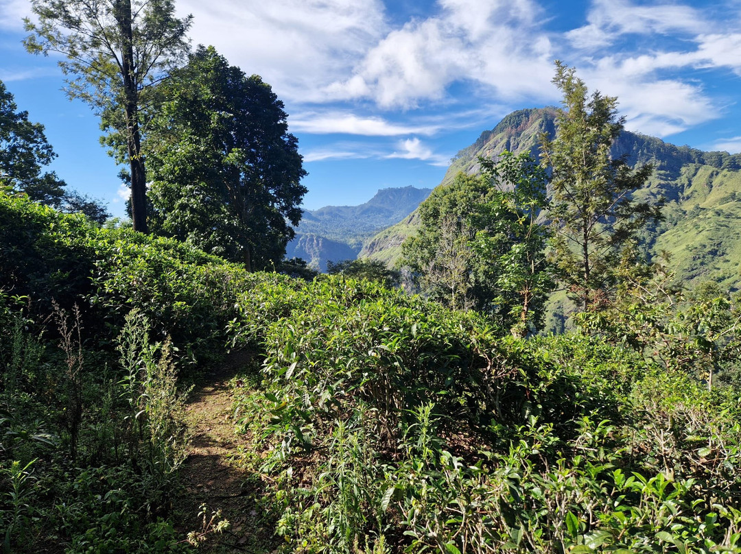 Journey To Ceylon-Udugama必去景点