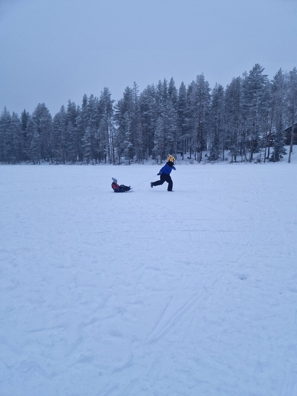 拉普兰熊之家酒店-官方