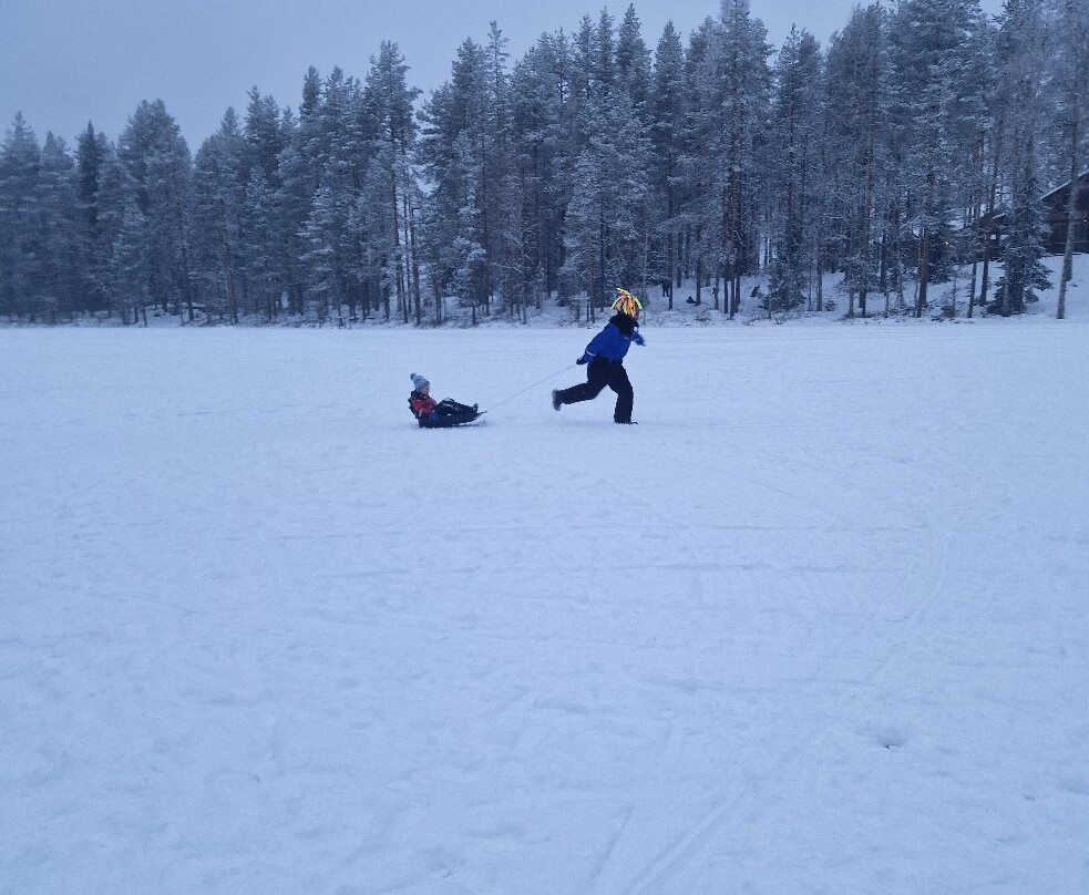 拉普兰熊之家酒店主图