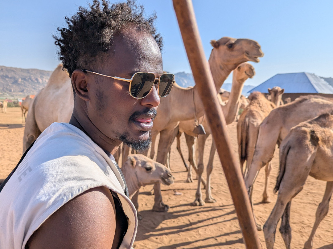 Joel Harar Tours-哈勒尔必去景点