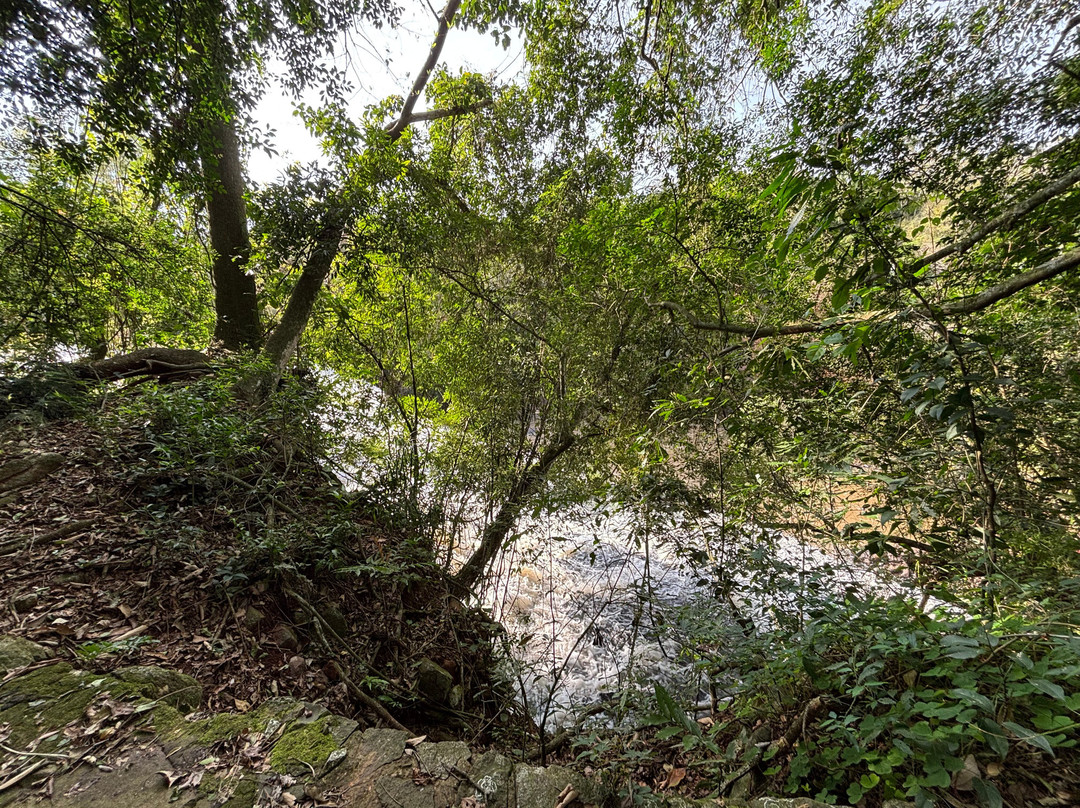 Santa Rita Falls-Estrela必去景点