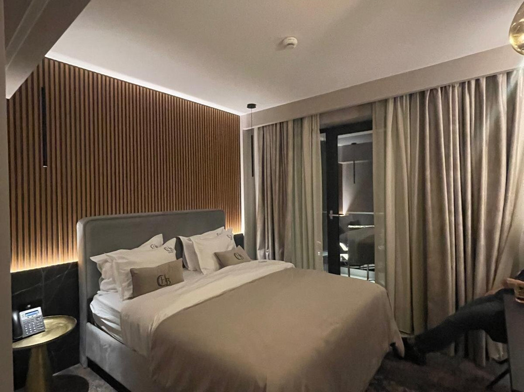 Pensiunea Bucura主图