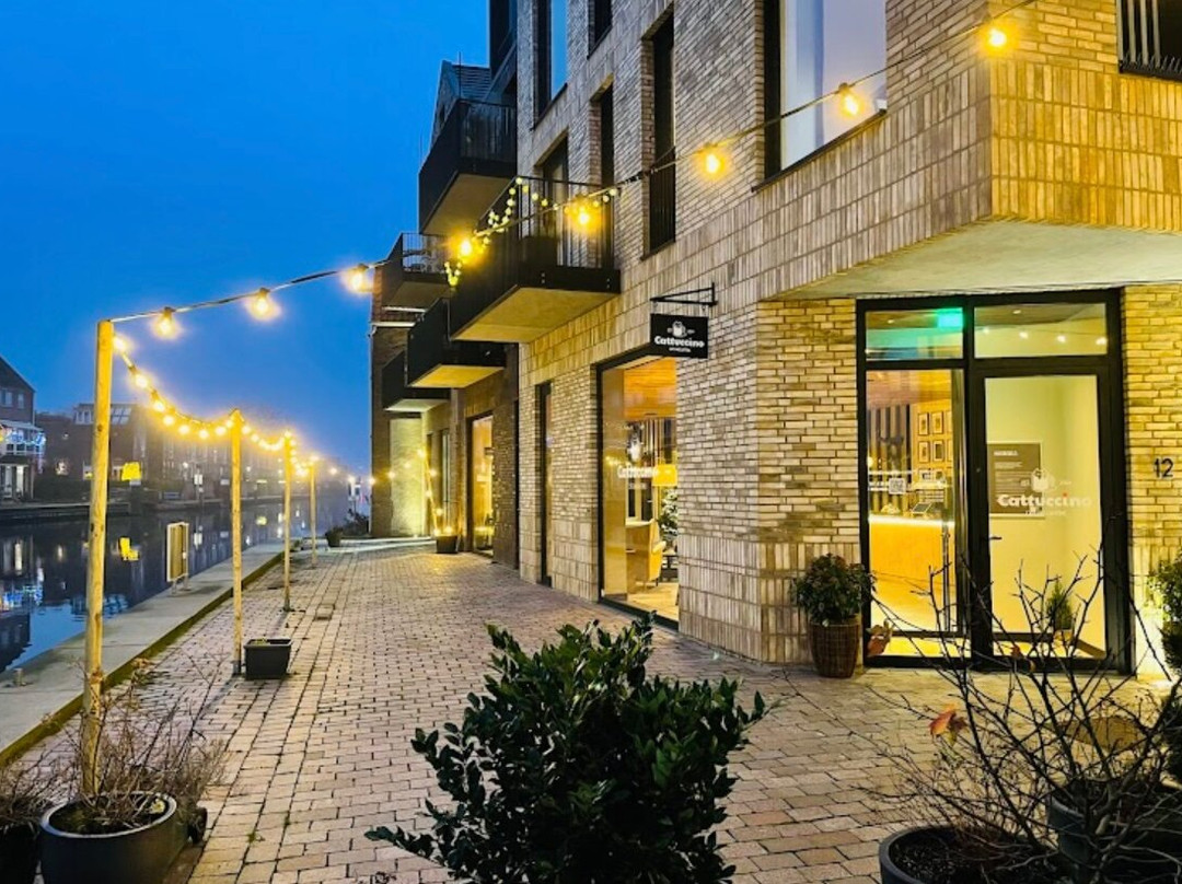 Cattuccino, Cat Cafe