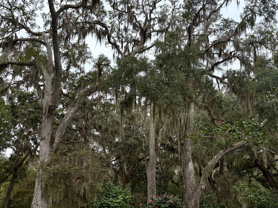 Christ Church-圣西蒙斯岛必去景点