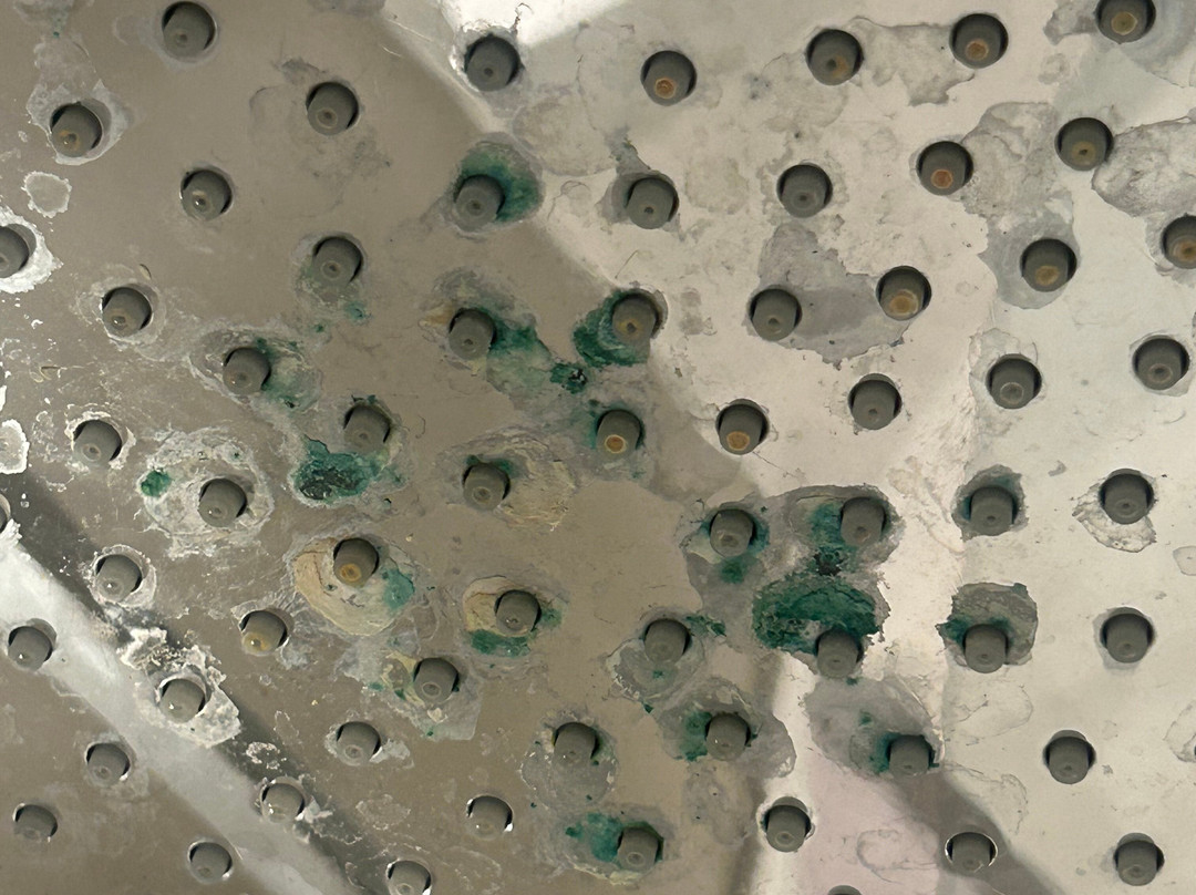 Oatlands Park Hotel主图