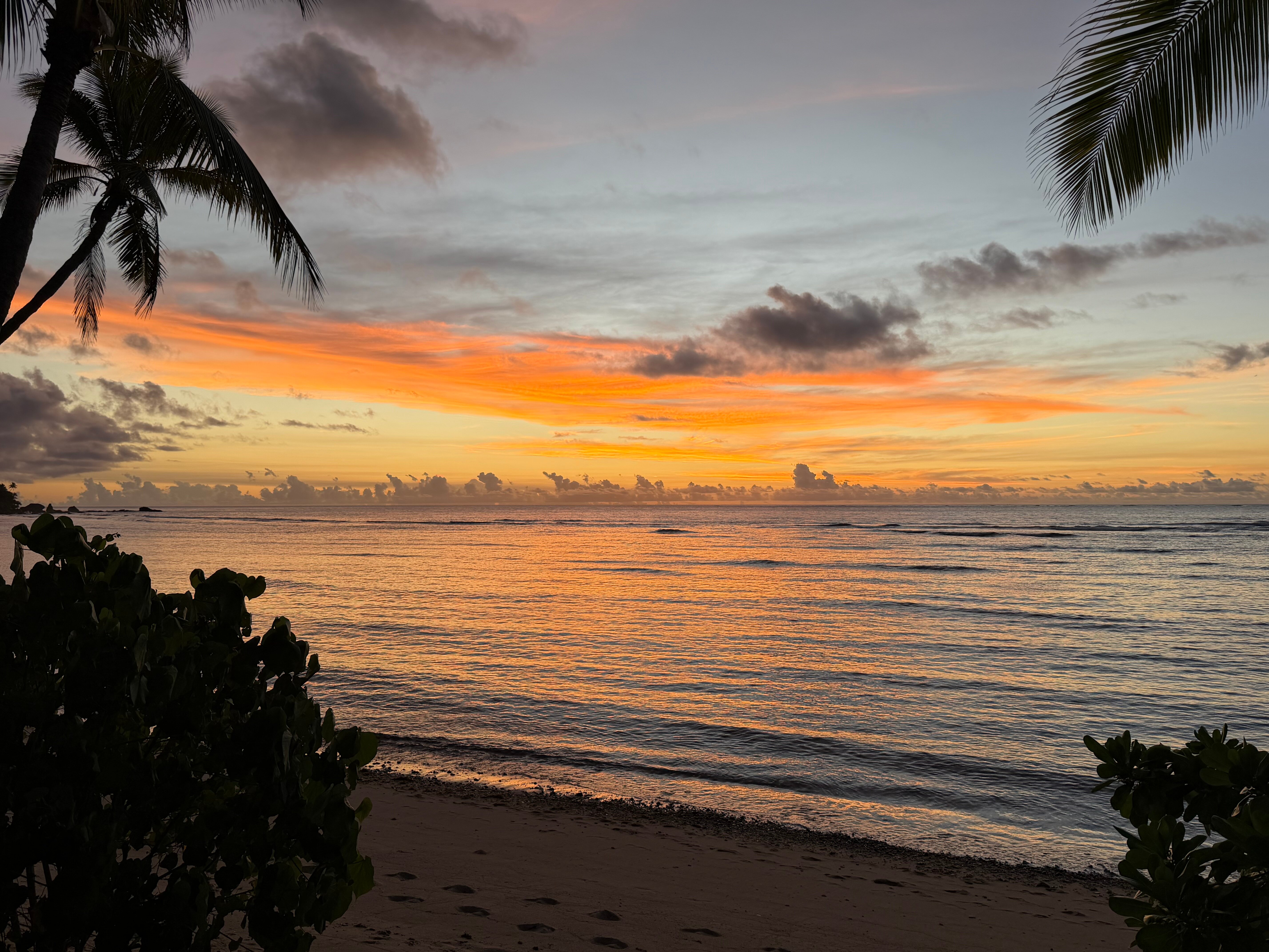 Waya Island Resort-官方