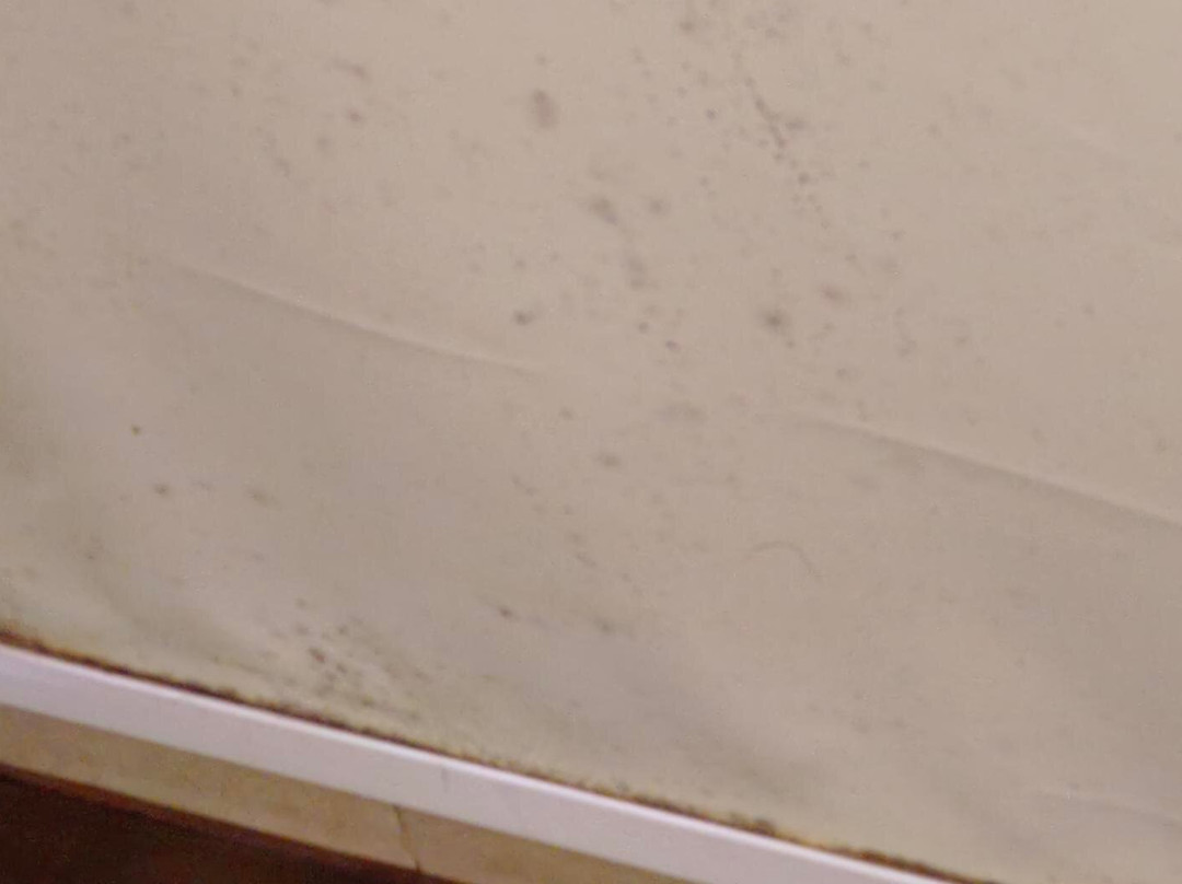 The Fern Residency, Bhopal主图