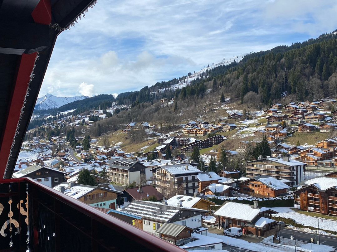 Chalet-Hotel Alpina主图