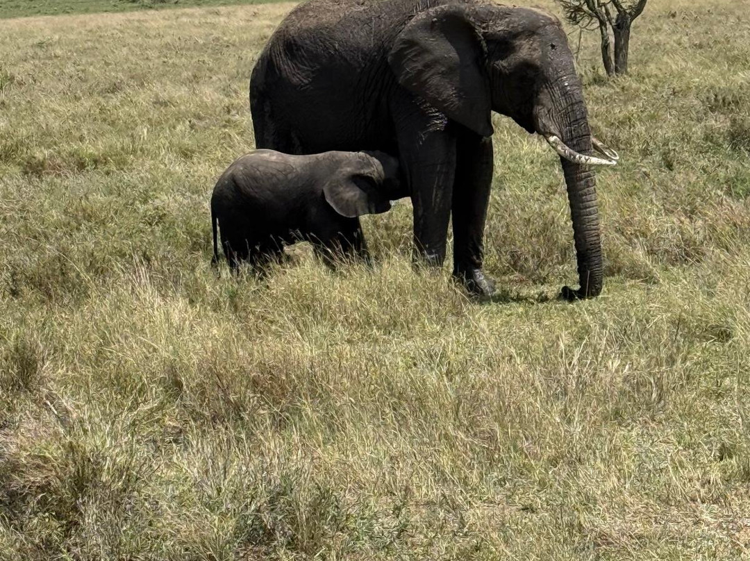 Walking Connection Adventure Travel-格兰岱尔必去景点