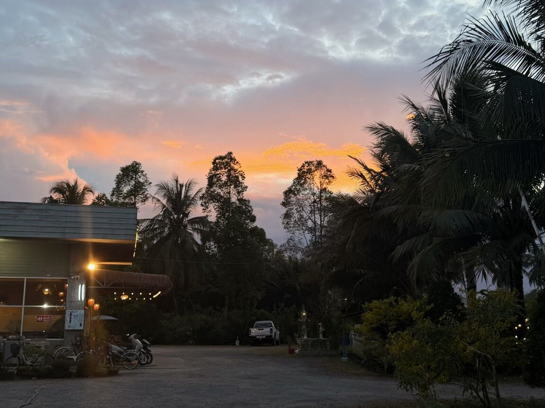 Palm Scenery Resort