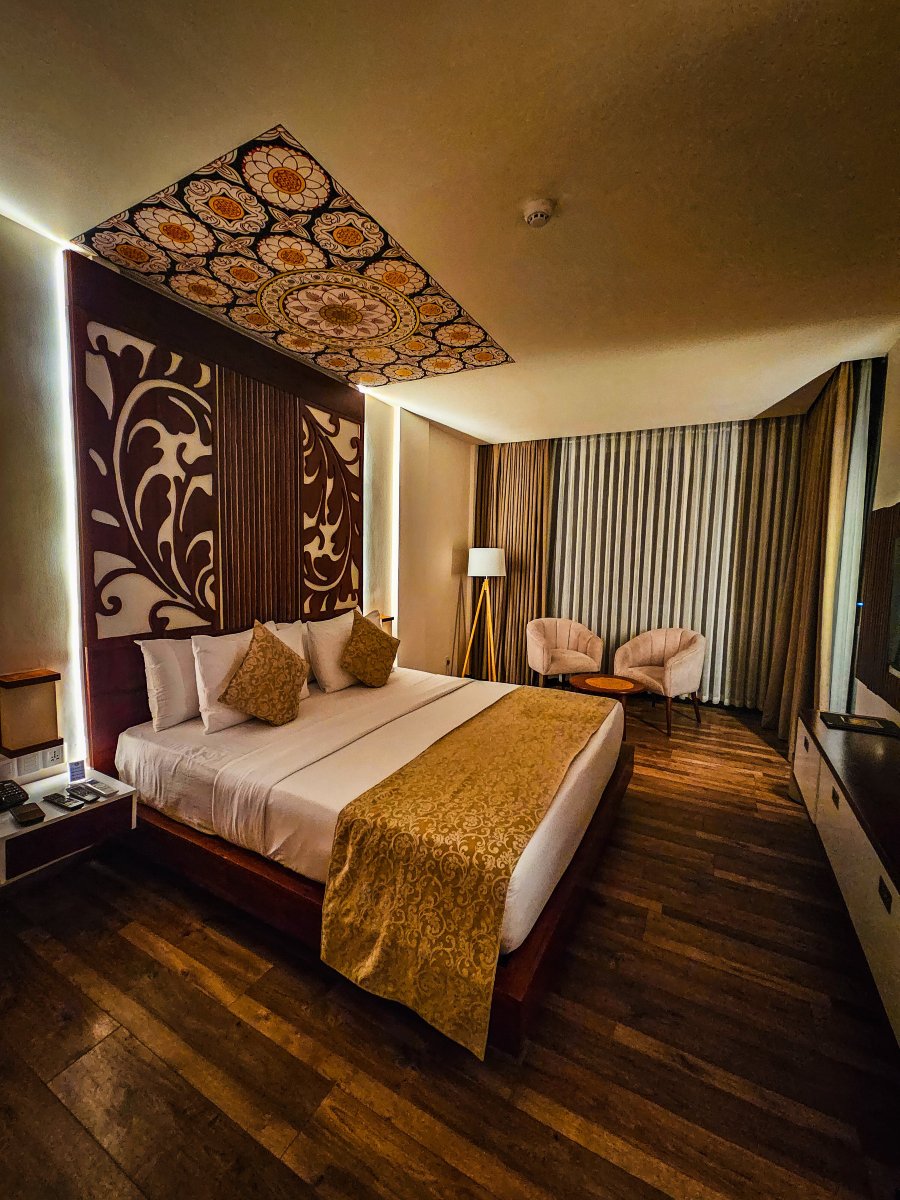 宏大塞伦迪布酒店-客卧