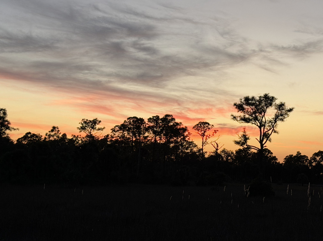 Tour The Glades - Private Wildlife Tours-大沼泽地必去景点