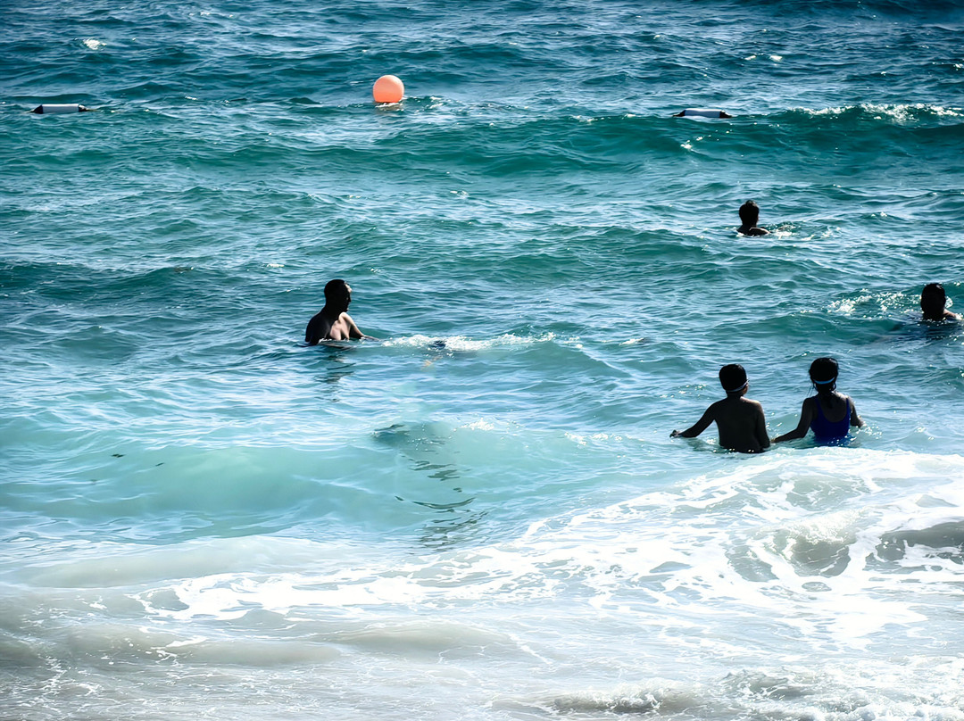 Sir Bani Yas Cruise Beach-萨巴尼亚岛必去景点