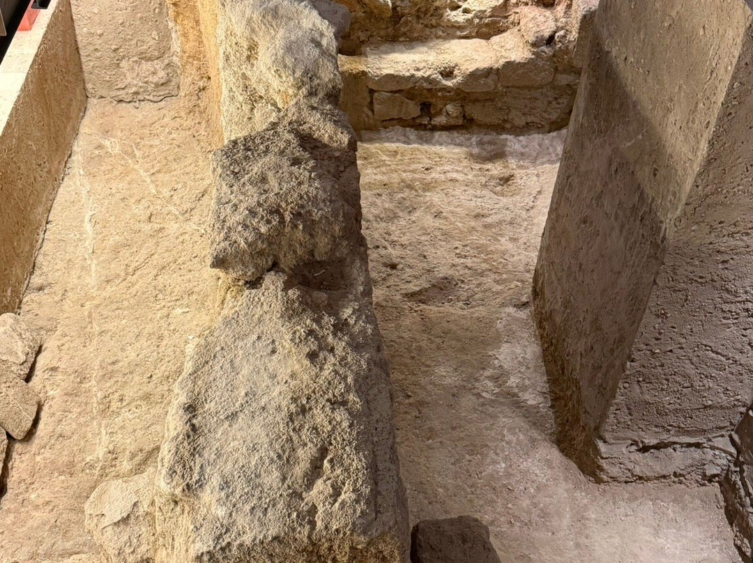 Soho Boutique Columela主图