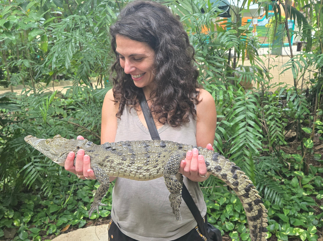 Croco Cun Zoo-从莫雷洛斯港必去景点