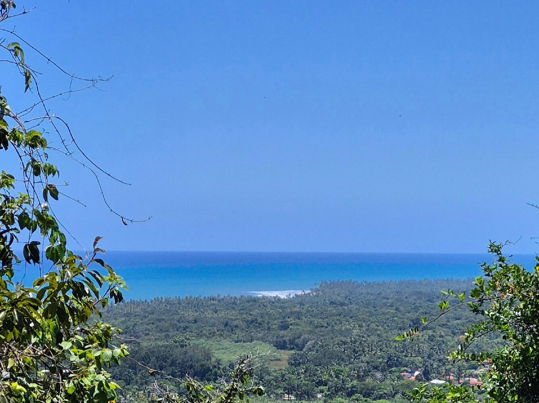 Serra do Conduru State Park-Urucuca必去景点