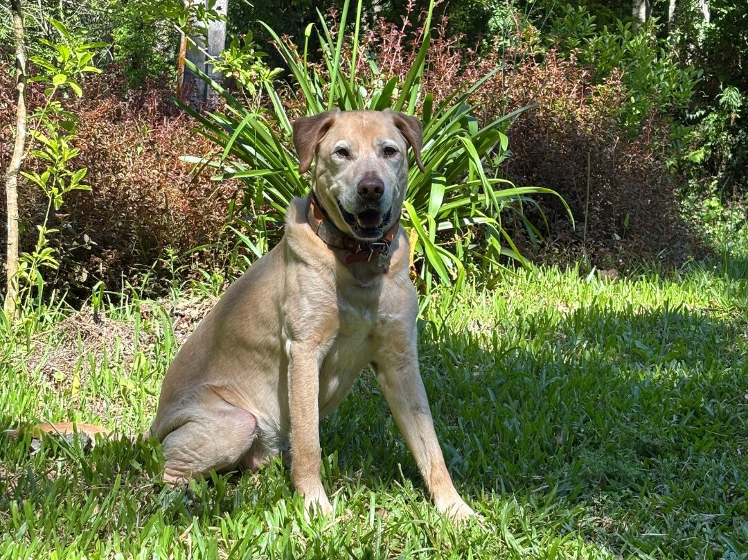 Cascata do Pratinha-Vila Flores必去景点