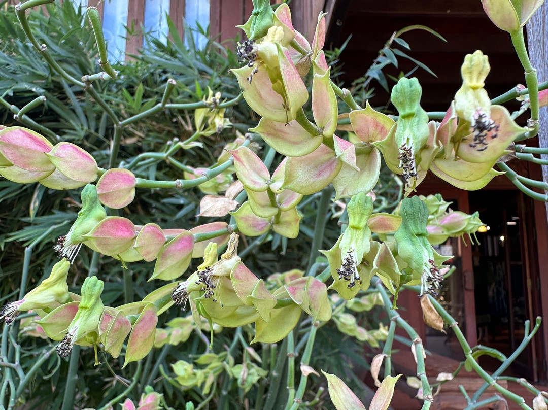 Lao Textile Museum-万象必去景点