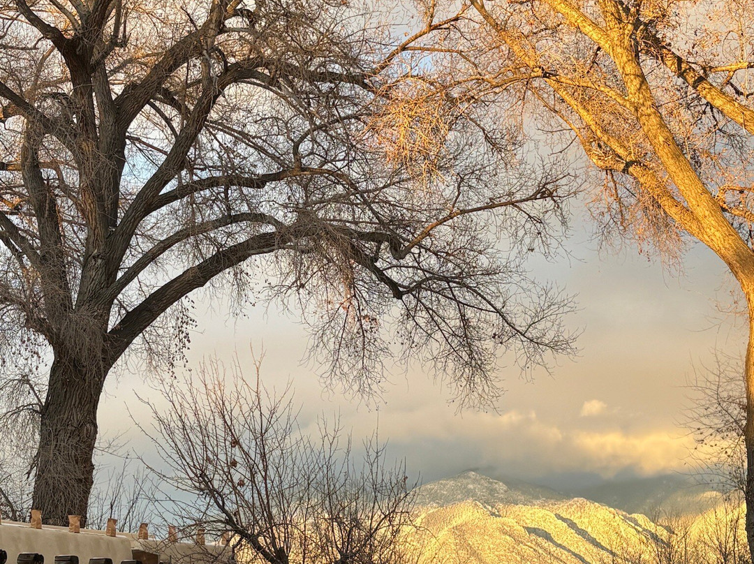 Hacienda del Sol主图