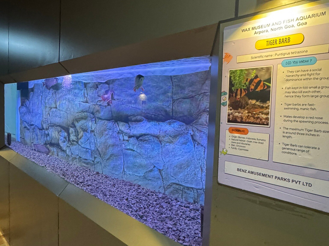 Benz Celebrity Wax Museum-加兰古特必去景点