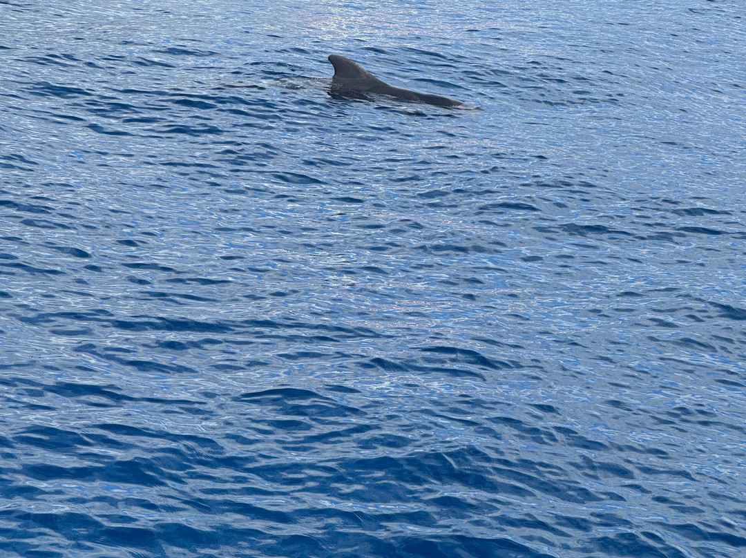 Opera 60 Luxury Charters-奥德杰海岸必去景点