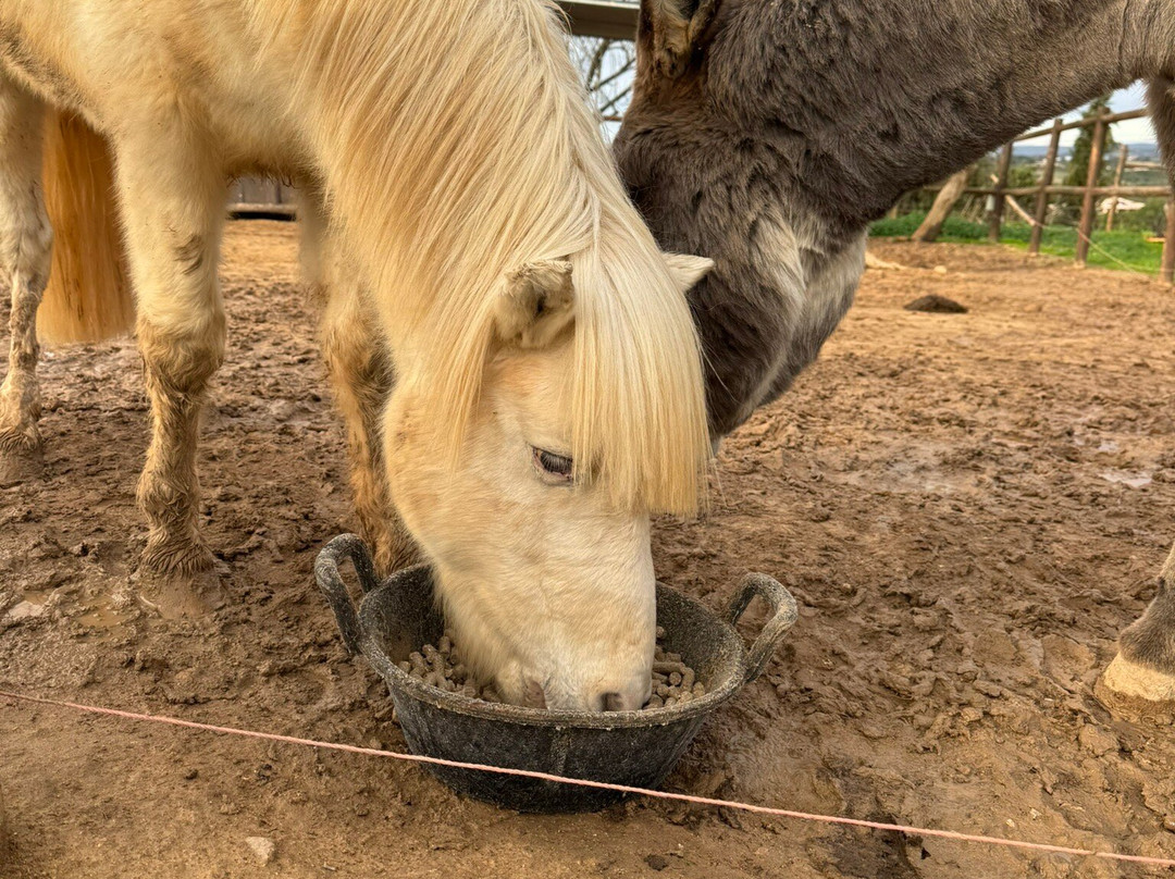 Quinta Fotoplanet Farm-阿尔布赞拉必去景点