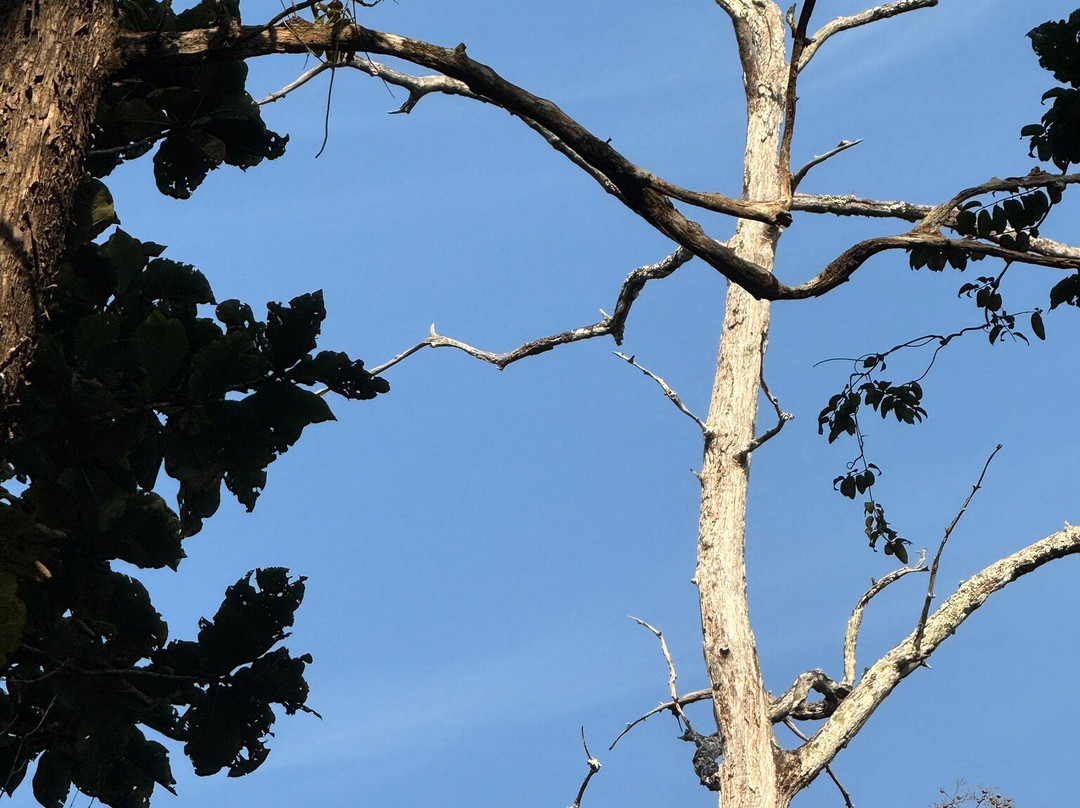 Amara Homestay, Dandeli主图