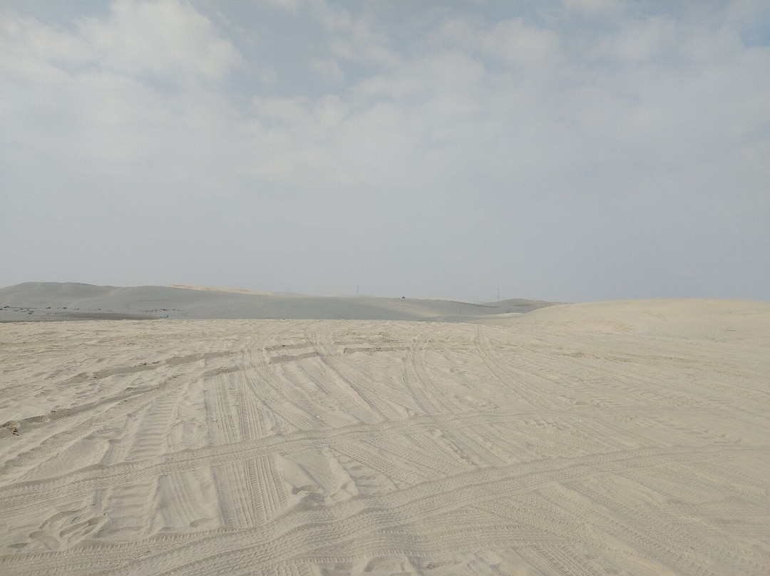 Doha Adventure & Tours-多哈必去景点