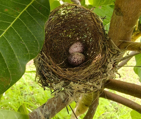 Tillus Agro Tourism-Solapur必去景点