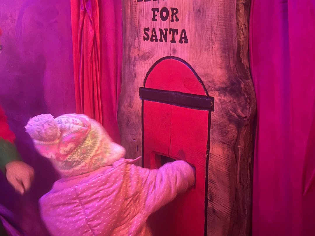 Camel Creek Family Adventure Park-Wadebridge必去景点