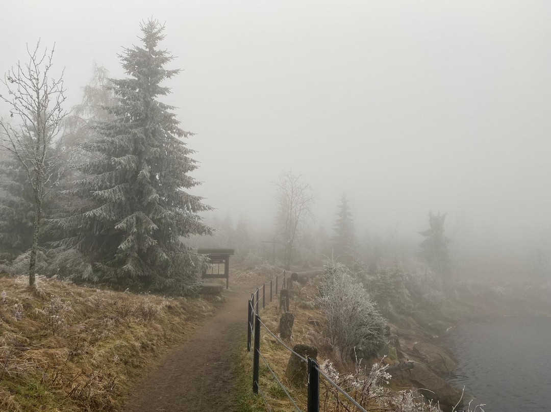Oderteich-Sankt Andreasberg必去景点