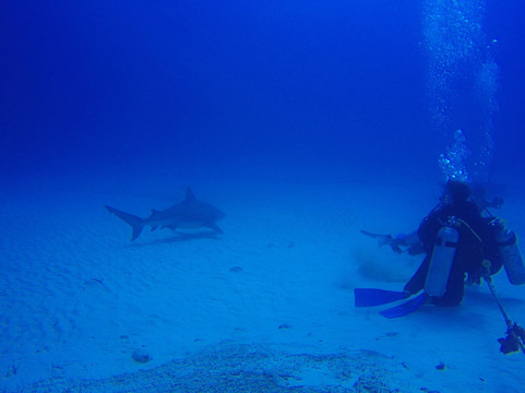 Pasku Dive-普拉亚德尔卡曼必去景点