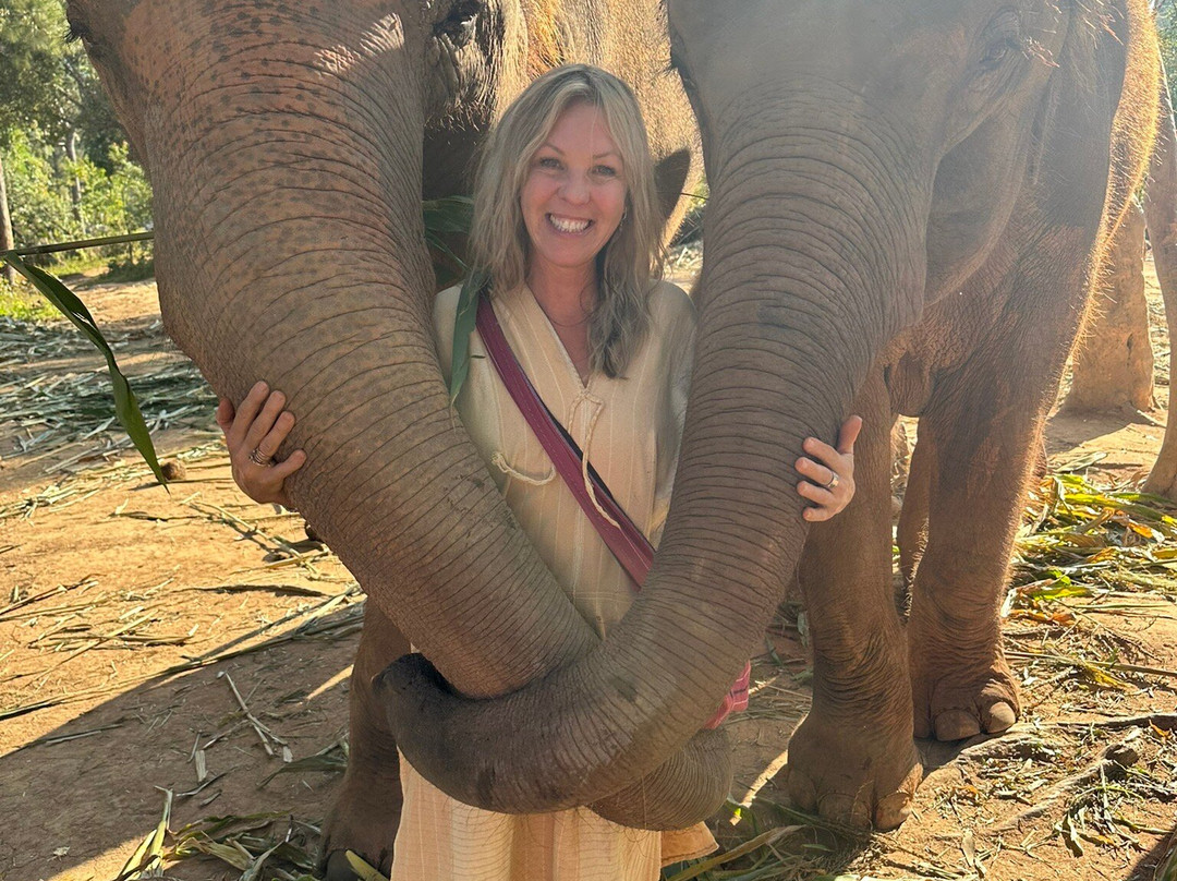 Elephant Freedom Village-清迈必去景点