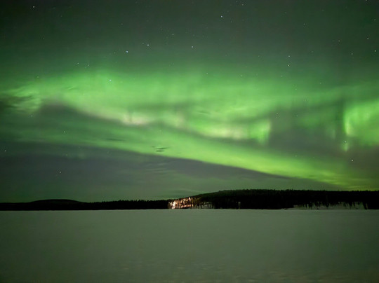 Wild Blueberry-罗瓦涅米必去景点