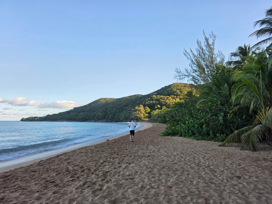 Plage de Grande Anse-Deshaies必去景点