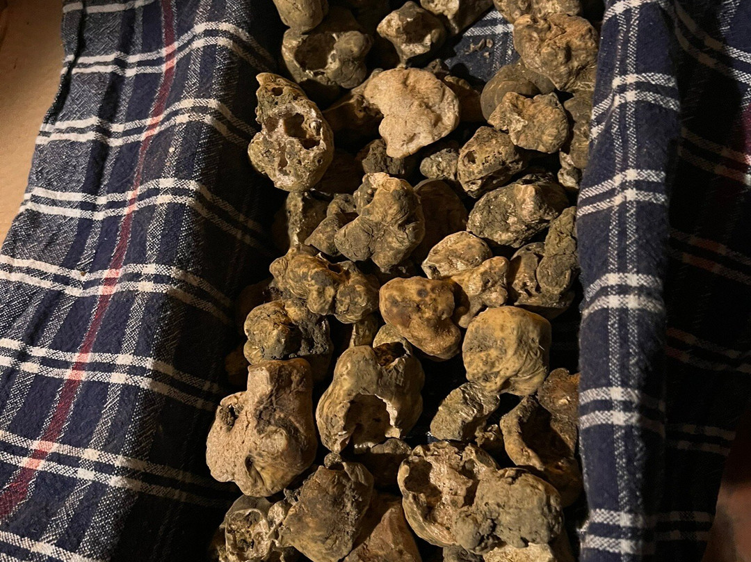 Montalero Cookery-Cerrina Monferrato必去景点