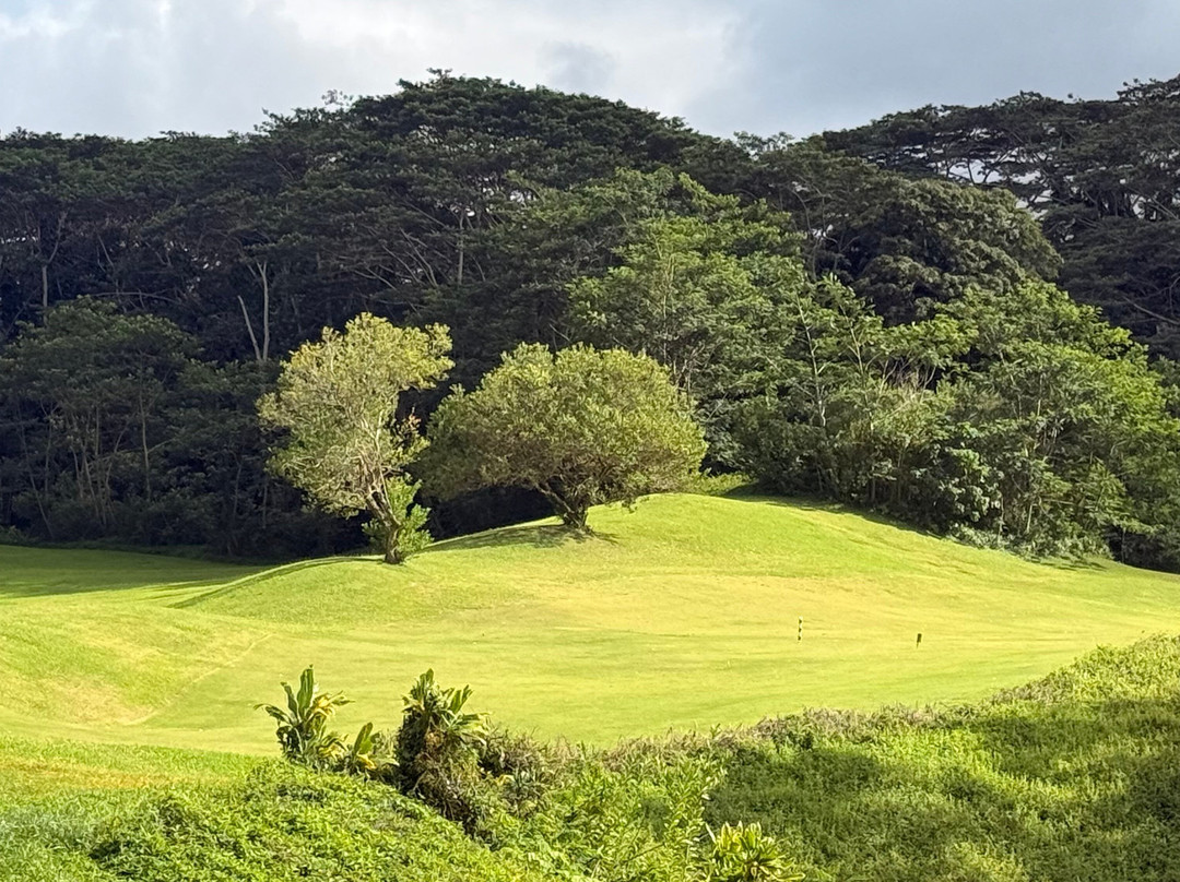 皇家夏威夷乡村俱乐部-科纳必去景点