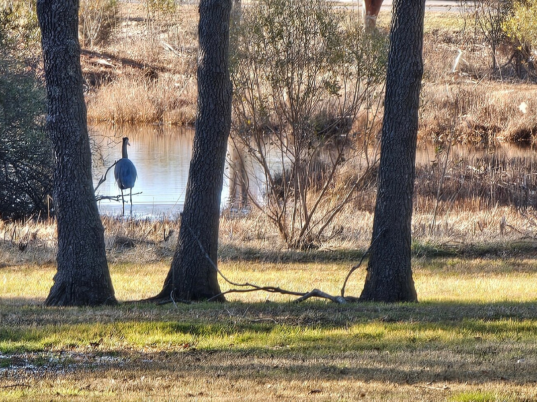 Long Point Park-Grasonville必去景点