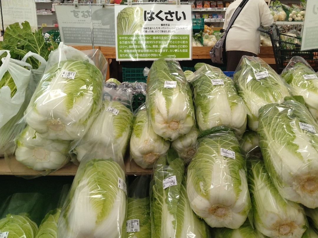 JA Arida Farmars Market Aridakko-有田市必去景点