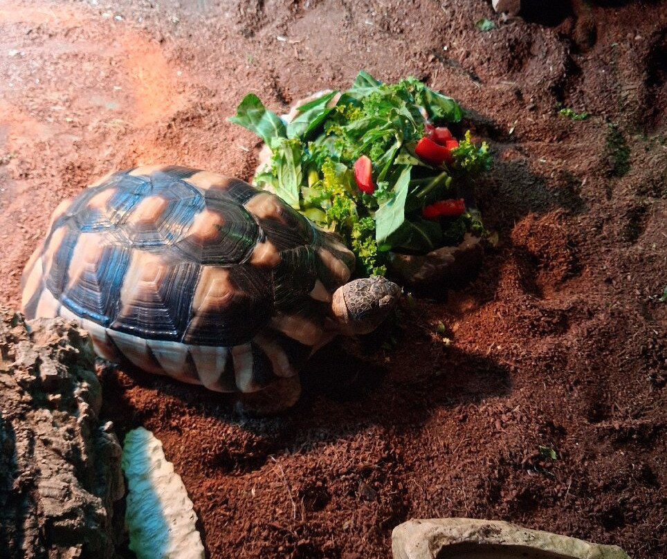 Mini Meadows Farm-Welford必去景点