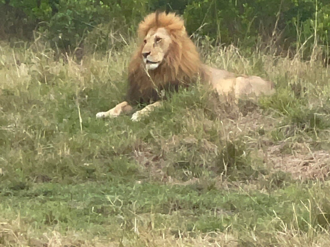 Safari In Kenya Con Samba-瓦塔木必去景点