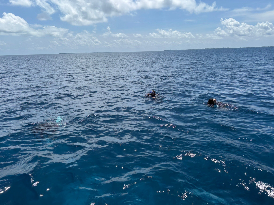 Addu Scuba Dive Maldives-阿斯杜太阳岛必去景点